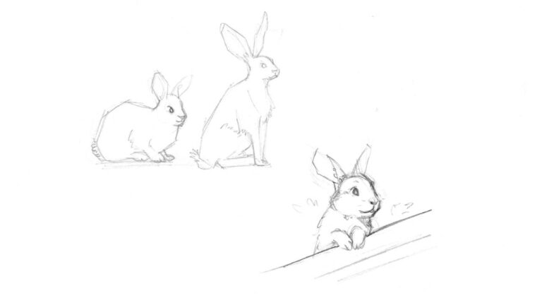 Bunny - Draw