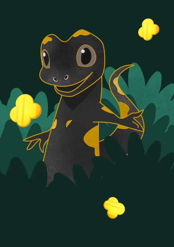 caccia al tesoro salamandra