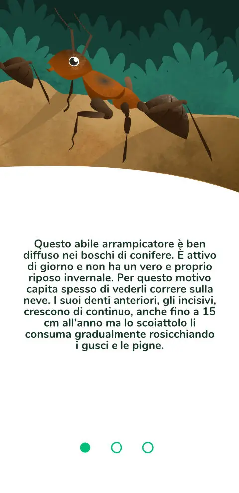 TSVB - Lucomagno Ant