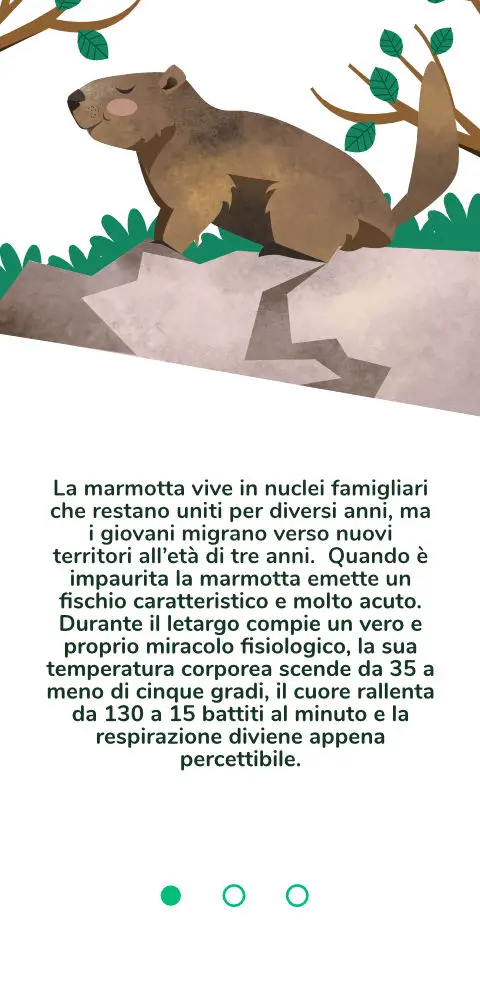 TSVB - Lucomagno Marmout