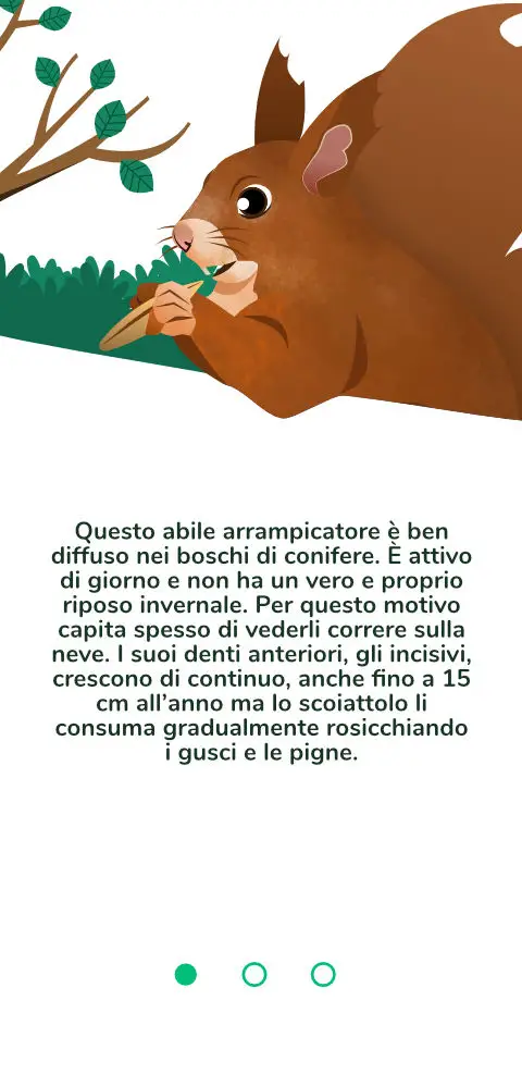 TSVB - Lucomagno Squirrell 1