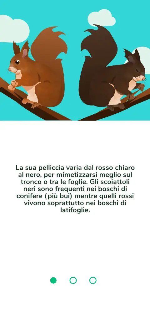 TSVB - Lucomagno Squirrell 2