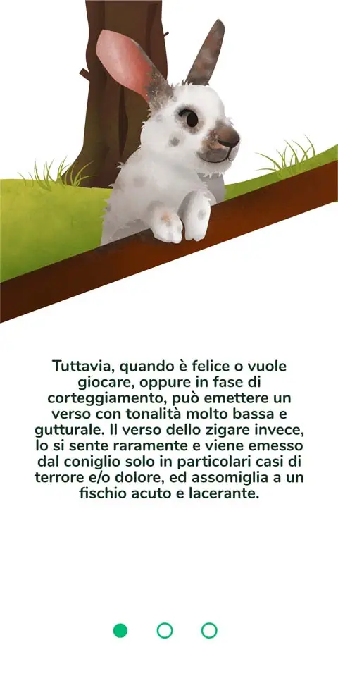 Illustration Bunny - 2 n