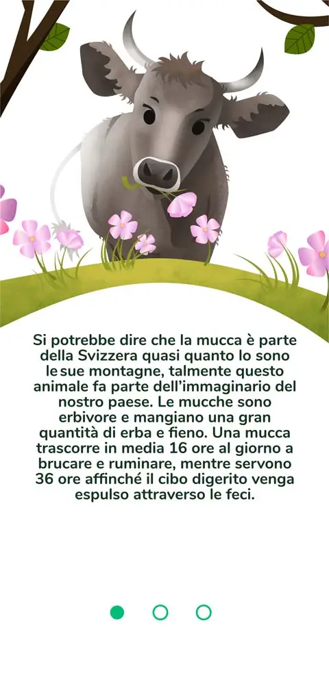 Illustration Cow - 1 n