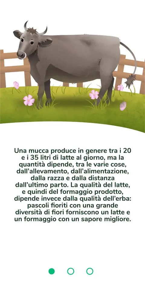 Illustration Cow - 2n