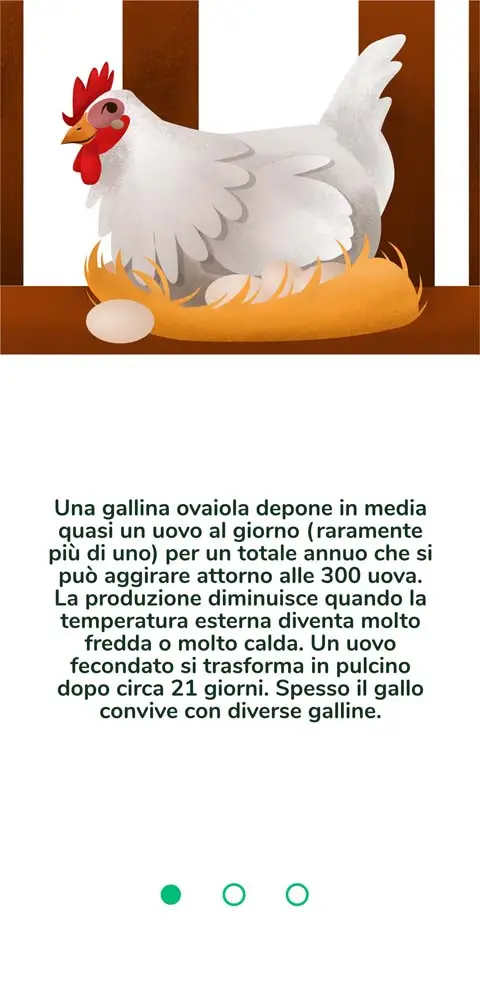 Illustration Han - 1n