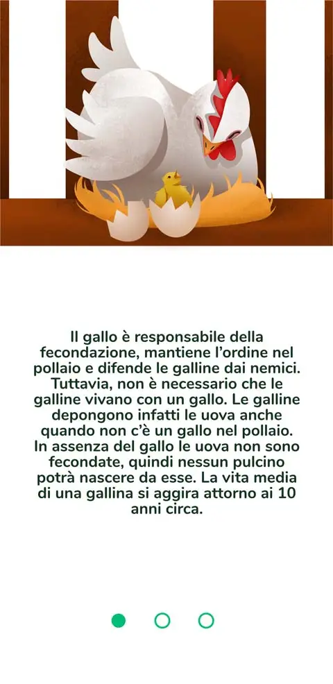 Illustration Han - 2n