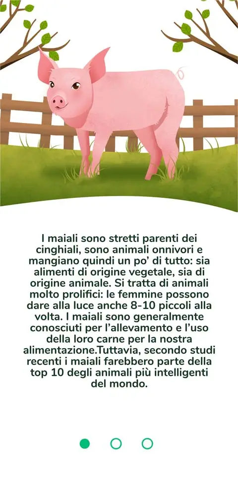 Illustration Pig - 1n